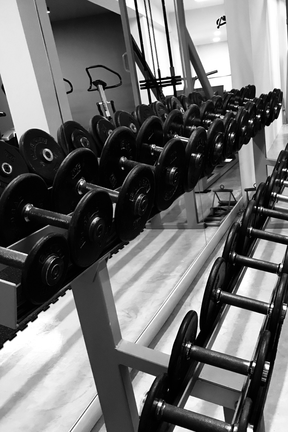 rangée d'haltères dans une salle de sport pour entraînement de musculation